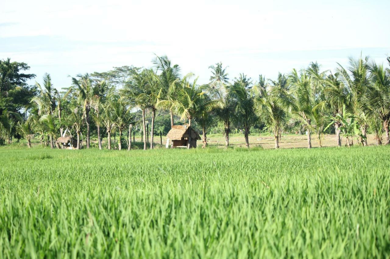 Ayuna Family Ubud Eksteriør billede