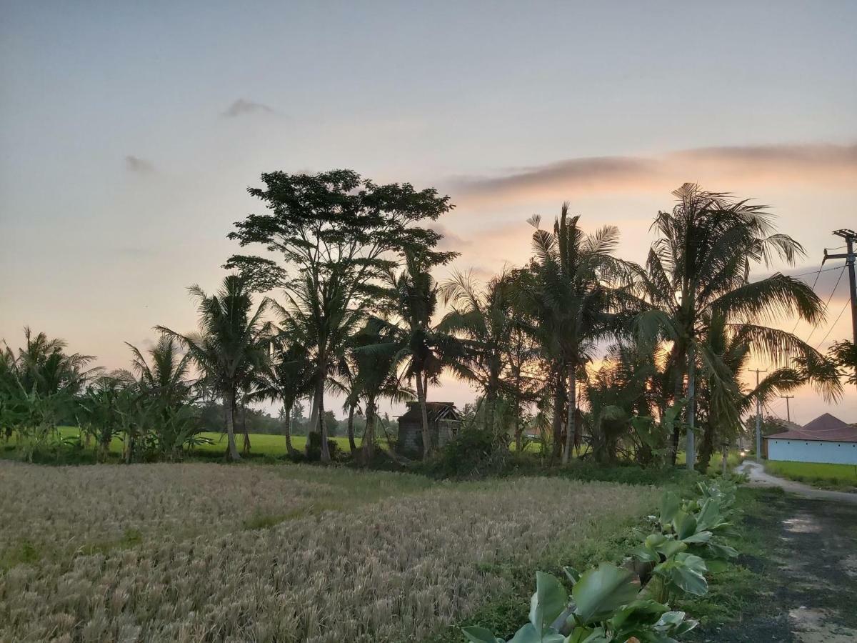 Ayuna Family Ubud Eksteriør billede