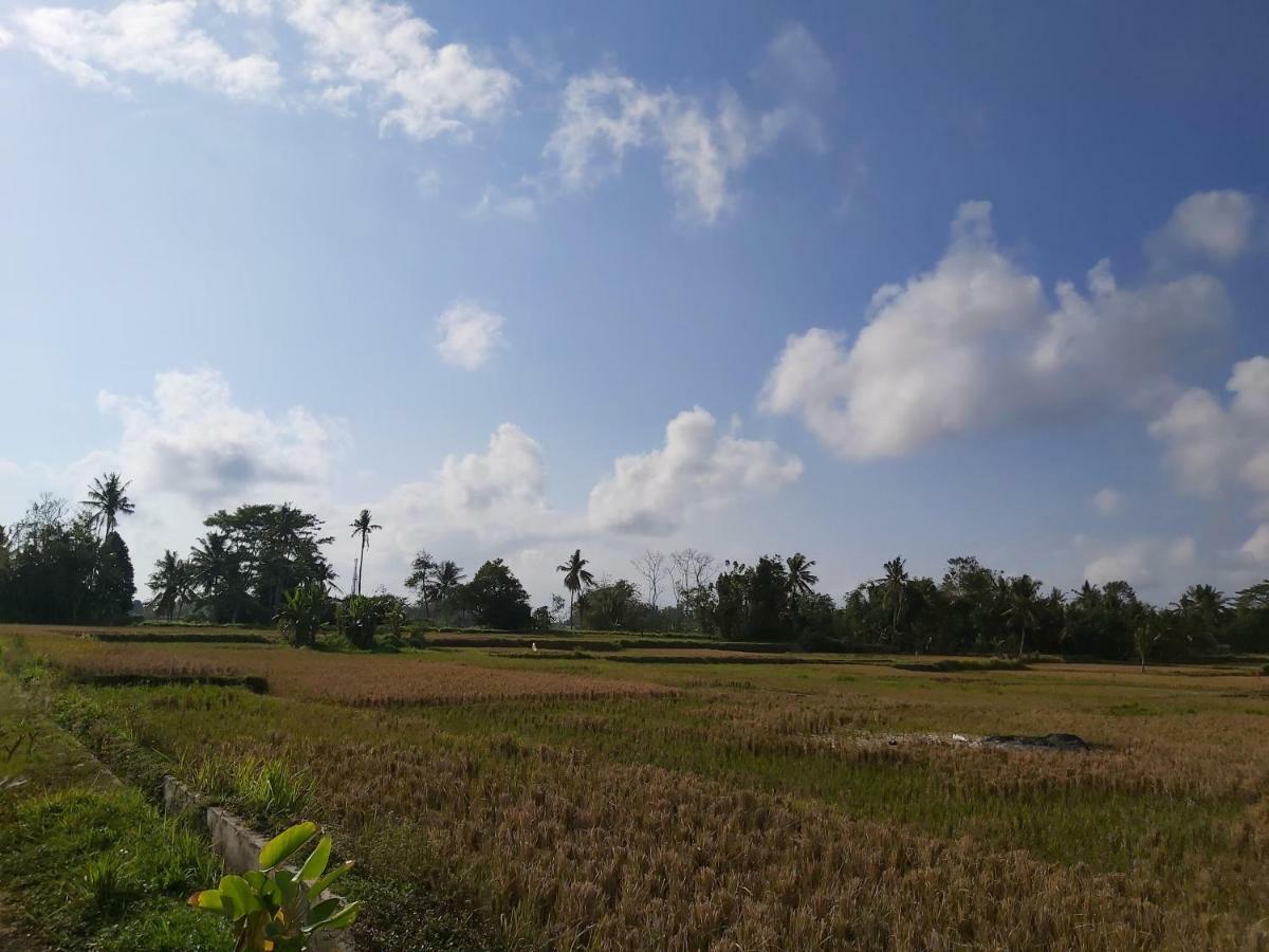 Ayuna Family Ubud Eksteriør billede